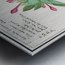 Marvel-of-peru in vintage style Metal print