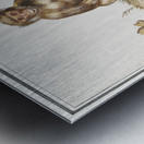 Monkey in vintage style Metal print