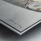 Silver bream in vintage style Metal print