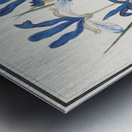 Blue iris in vintage style Metal print