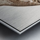 Owl in vintage style Metal print