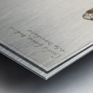 Dromedary in vintage style Metal print