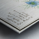 Love-in-a-mist flower Metal print