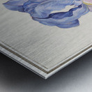 Purple iris in vintage style Metal print