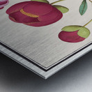Peony in vintage style Metal print