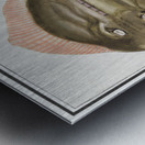 Rays in vintage style Metal print