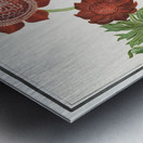 Anemone flower in vintage style Metal print