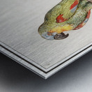 Parrots in vintage style Metal print