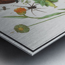 Nature ensemble in vintage style Metal print