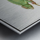 Chameleon in vintage style Metal print