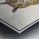 Long eared owl in vintage style Metal print