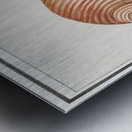 Sea shell in vintage style Metal print