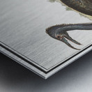 Cormorant in vintage style Metal print