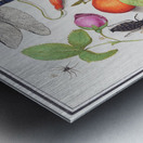 Nature ensemble in vintage style Metal print