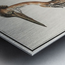 Purple heron in vintage style Metal print