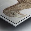 White-tailed eagle in vintage style Metal print