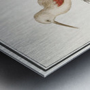 Wallcreeper in vintage style Metal print