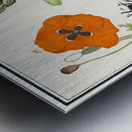 Wallcreeper in vintage style Metal print