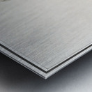 Wild swan in vintage style Metal print