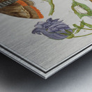 Nature ensemble in vintage style Metal print