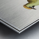 Bohemian waxwing in vintage style Metal print