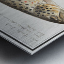 Trout in vintage style Metal print