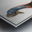 Cassowary vintage style Metal print