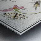 Nature ensemble in vintage style Metal print