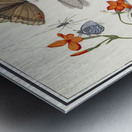 Nature ensemble in vintage style Impression metal