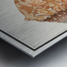 Flamingo in vintage style Metal print