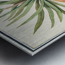 Kaisers crown in vintage style Metal print