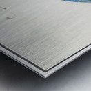 Kingfisher in vintage style Metal print