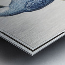 Grey parrot in vintage style Metal print