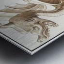 Dragon in vintage style Metal print