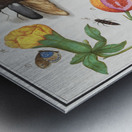 Nature ensemble in vintage style Metal print