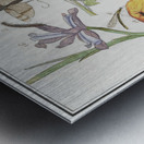 Nature ensemble in vintage style Metal print