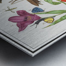 Nature ensemble in vintage style Metal print