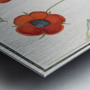 Indian runner duck in vintage style Metal print