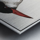 Tern in vintage style Metal print