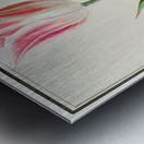 Tulip in vintage style Metal print