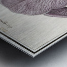 Mourning iris in vintage style Metal print