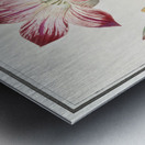 Tulip in vintage style Metal print