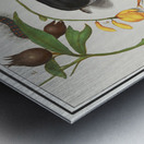 Nature ensemble in vintage style Metal print