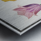 Tulip in vintage style Metal print