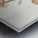 Carnation in vintage style Metal print