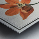 Tulip in vintage style Metal print