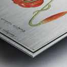 Red lily in vintage style Metal print