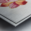 Tulip in vintage style Metal print