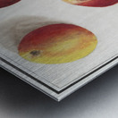 Apple in vintage style Metal print