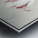 Tulip in vintage style Metal print